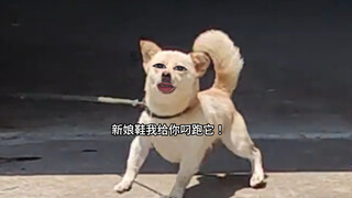 น้องหมารู้จักลูกเขยคนใหม่ แต่ลูกเขยไม่รู้จักน้องหมา!