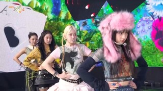 VVUP Super Model Performance