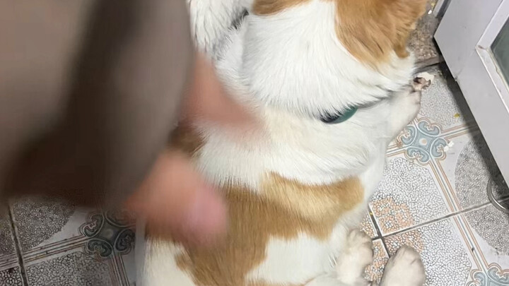 พอฉันด่าพวกเขาว่าบ้า แล้วจู่ๆ ก็ตระหนักได้ว่าพวกเขาจริงๆ แล้วก็บ้าจริงๆ มันก็รู้สึกผิดนิดหน่อย แต่ใน