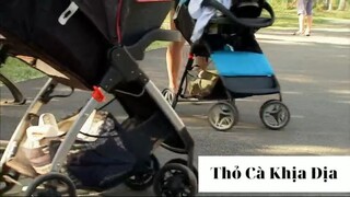 Chơi khăm xem phản ứng của mọi người phần 23 #thobiettroll