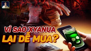 VÌ SAO XYANUA DỄ MUA NHƯ VẬY ?