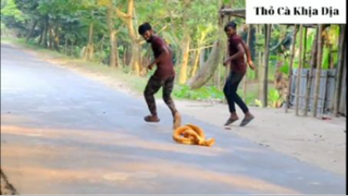 Snake prank 1 #thobiettroll