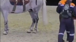 the design is very Human