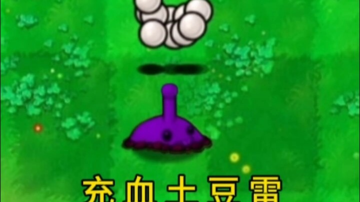 نبات يتحدى السماء: بطاطس البرق المشحونة