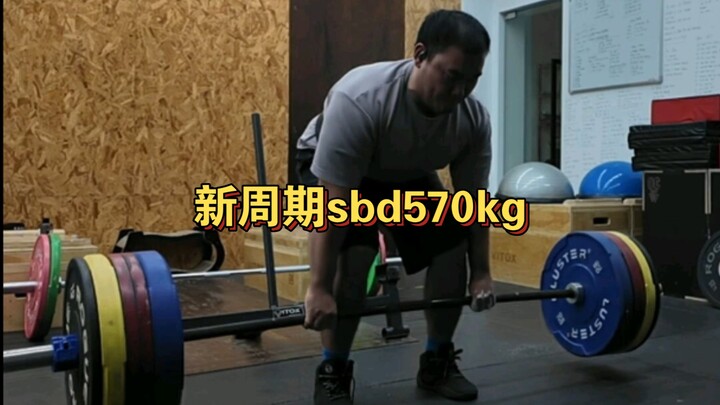 New cycle SBD 570kg