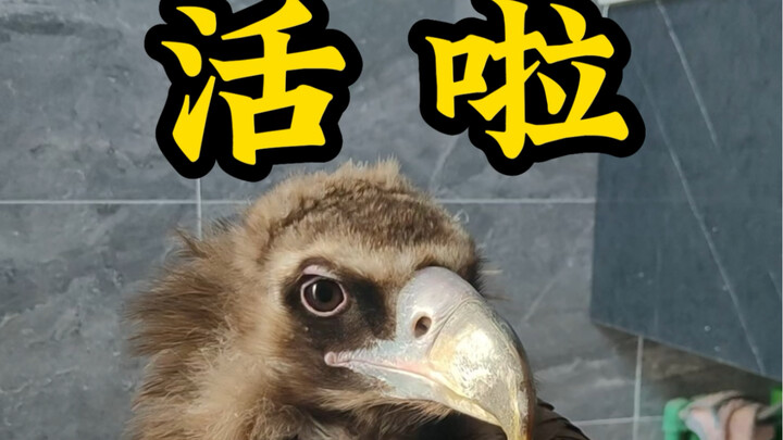 This must be what people mean by “the power of the crowd”... From now on, you can think of our chann