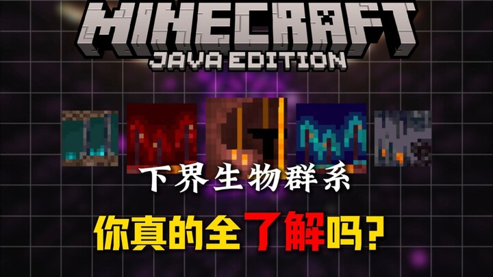 In one go, let’s explore everything you need to know about the five Nether biomes in Minecraft!!