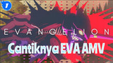 Kecantikan Neon Genesis Evangelion_1