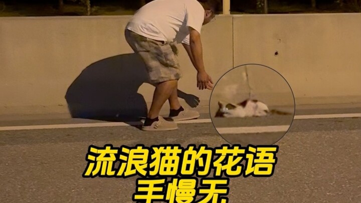 Oh no, I almost got flattened!