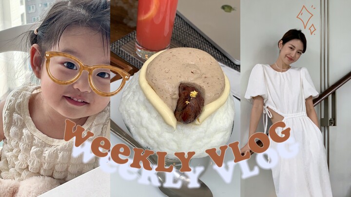 ما عاد ممكن أصور الفيديو اليومي (بأكتاف معلّقة) الكاميرا تُسرق مني عشرات المرّات في اليوم! يوم التنظ