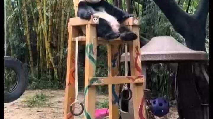 ท่าลงบันไดแบบนี้ฉันก็คิดไม่ถึงจริงๆ