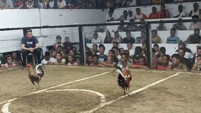 2ndfight for champion 🏆