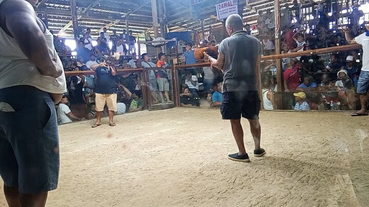 JJV GF entry 1. 1st fyt lose