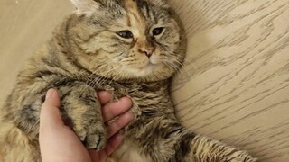 ช่วยฉันลุกขึ้นมาหน่อย ฉันยังกินได้อีก