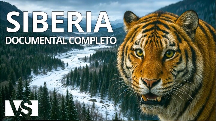 SIBERIA INDOMABLE  Entre Lobos, Tigres y Hielos Eternos - Documental Animales