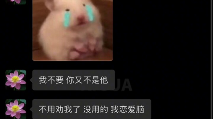 ลูกชาย: แม่ของผมคนนี้ทั้งดื้อรั้นแต่ก็เป็นสายหัวใจว้าวุ่นในเรื่องความรัก