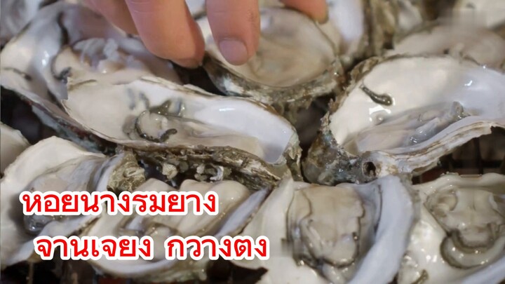 หอยนางรมย่าง จ้านเจียง กวางตุ้ง