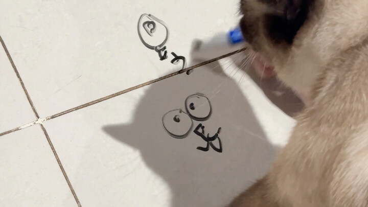 Vẽ mèo trên sàn nhà