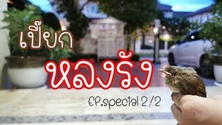 EP.Special : เปี๊ยกหลงรัง 2/2