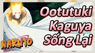 Ootutuki Kaguya Sống Lại