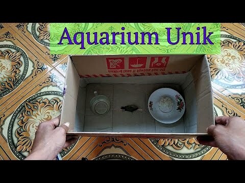 Aquarium Canggih Mewah Berfaedah
