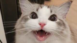 Ayah, sudah semenit Ayah tidak memperhatikanku