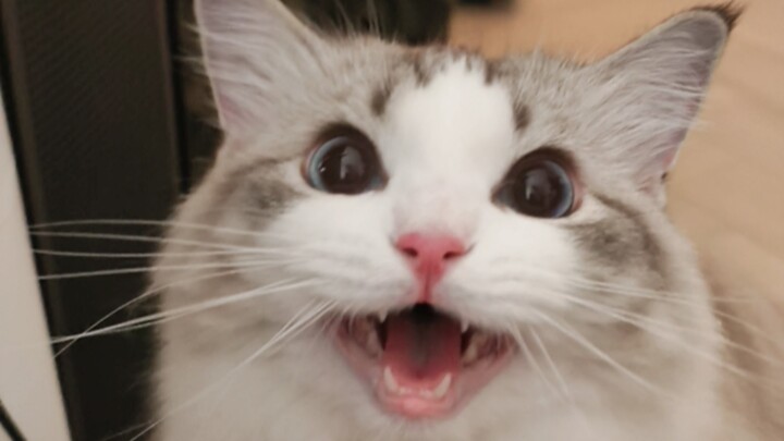 أبي، لم تهتم بي لمدة دقيقة كاملة.