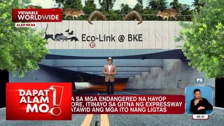 Tulay para sa mga endangered na hayop sa Singapore, itinayo sa gitna ng expressway | Dapat Alam Mo!