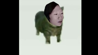 واو آو آو واو آو واو آو آو آو واو آو هاليلو دا شوانفنغ