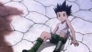 Hunter x Hunter Edit