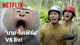 'ใบเฟิร์น-นาย' ปะทะ 'ลิง' ฉากนี้มีฮา | Friend Zone | Netflix