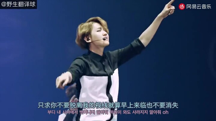 EXO《蝴蝶少女》最美现场舞台，还好你们都在