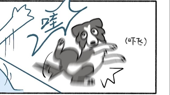 Con người, sao lại thích bắt nạt cún con thế nhỉ?