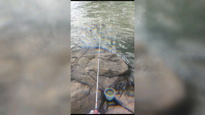 sport yg sangat menjanjikan