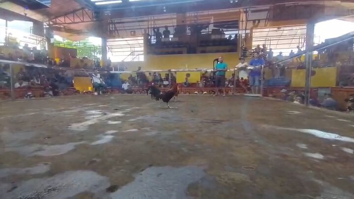 W 2nd fight 2hits ulutan May 30 2026