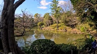 【Hiroo Walk】Strolling Through Tokyo’s Upscale Residential & International Neighb