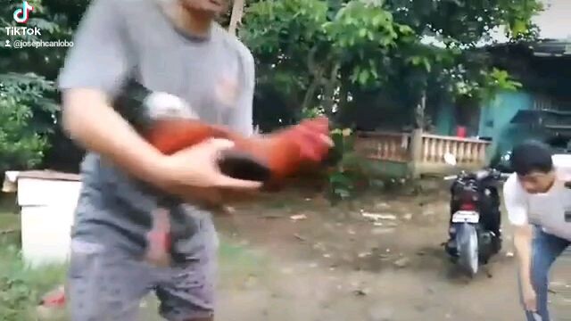 Sweater Gilmore MJC G.F