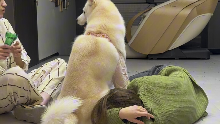 【Hip-Hop Unboxing】Check out my latest creation!