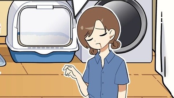 Lý do thực sự khiến mèo thích dẫm lên bạn