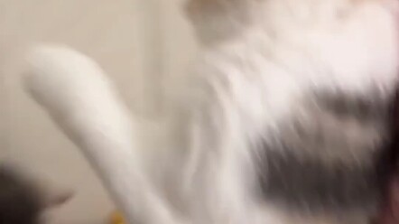 ？