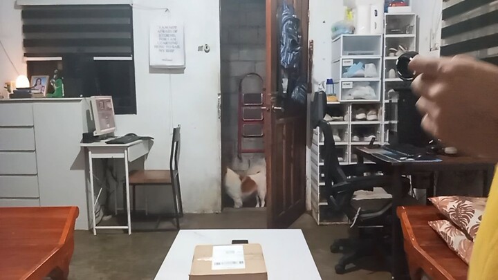 Stap Mo Stap Ko