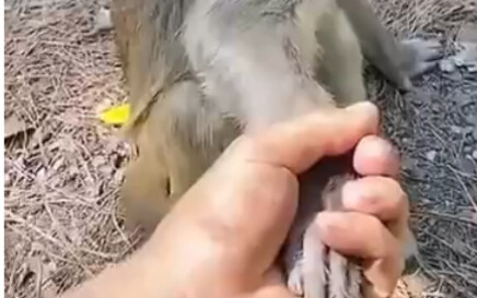 "Surprised? Unexpected? Thrilling?"