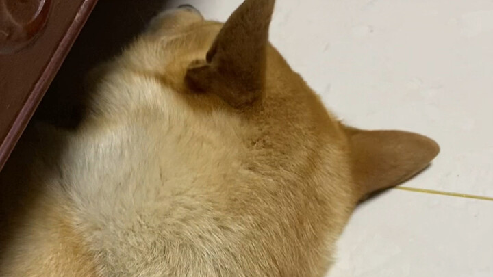 What problem can’t a late-night snack solve?