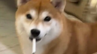 يا له من عجوز لي!