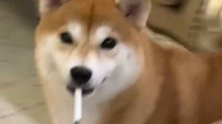 يا له من عجوز لي!