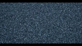 S1-E8