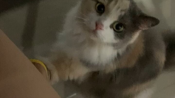 คุณหมอก จะเอาอะไรอ่ะ