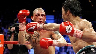 Manny Pacquiao vs Miguel Cotto Full Highlights TKO HD