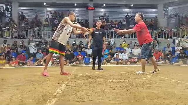 biboy line offspring whitechoco