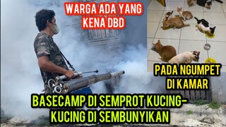 Aktifitas Fogging Kucing-Kucing Cats Lovers Tv Pada Ngumpet Semua ..!